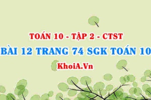 Bài 12 trang 74 SGK Toán 10 tập 2 Chân trời sáng tạo